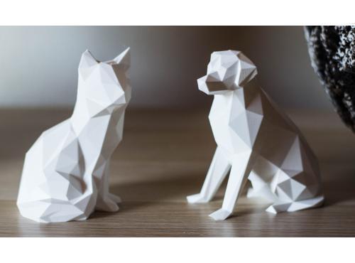 Galerie photo - iideo